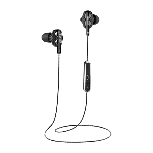 Ant neckband 2025